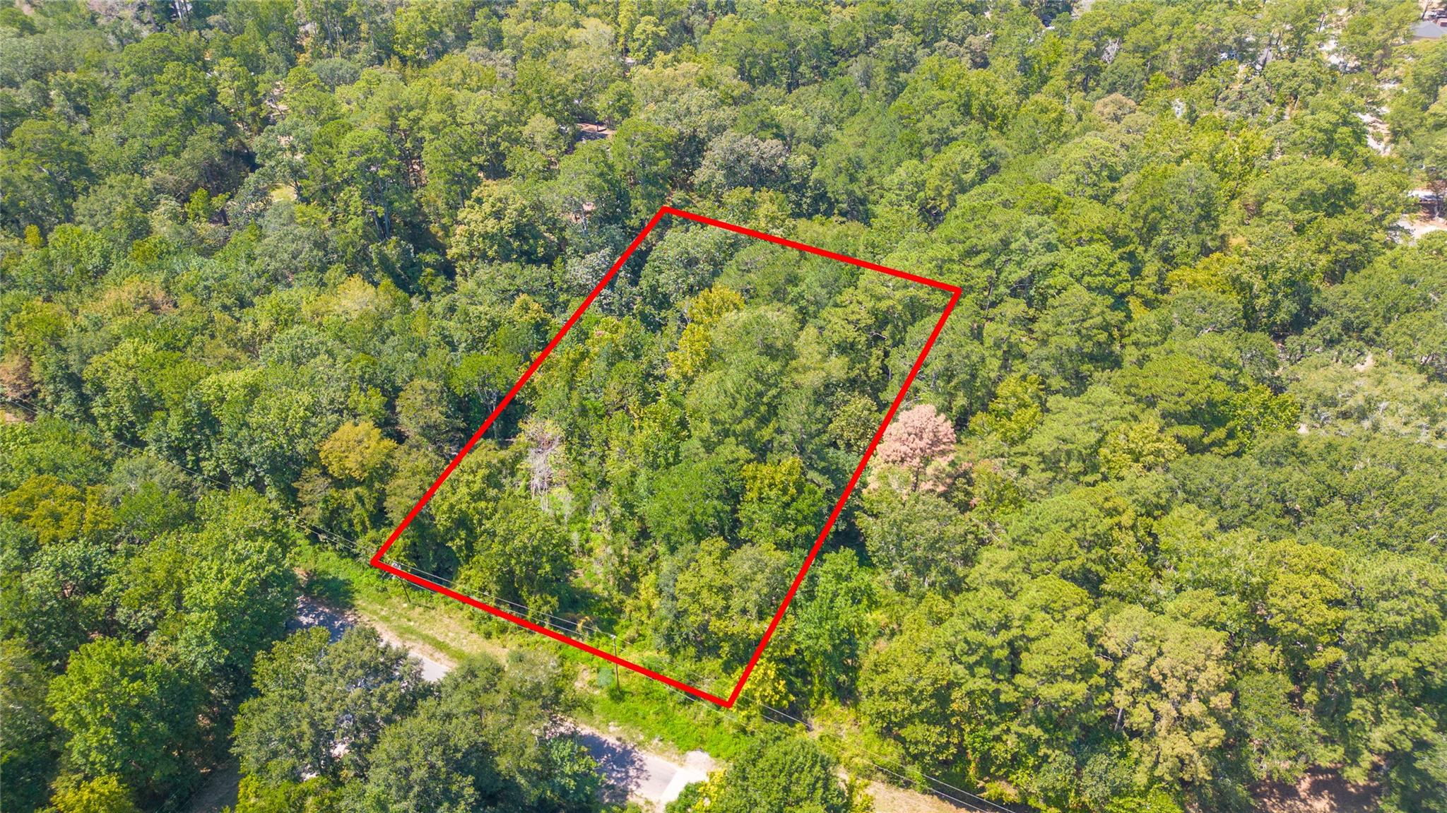 Land in Conroe 3