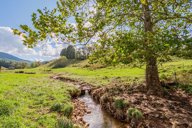214 Comers Creek Rd, Home with 0 bedrooms, 0 bathrooms and null parking in Sugar Grove VA | Image 62