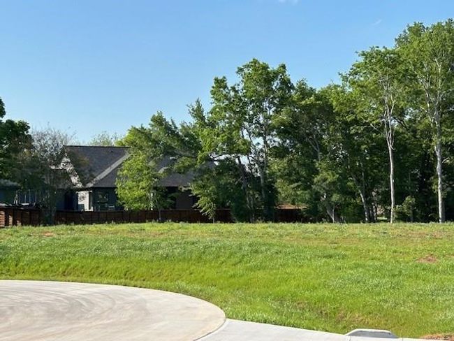 33206 Worthing Ln, Home with 0 bedrooms, 0 bathrooms and null parking in Fulshear TX | Image 6