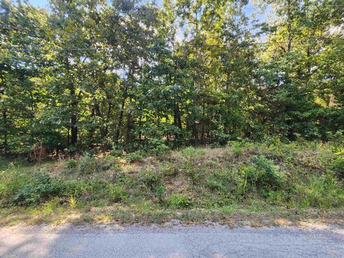 L-41, B-8 Winnebago Drive, Cherokee Village, AR, 72529 | Card Image