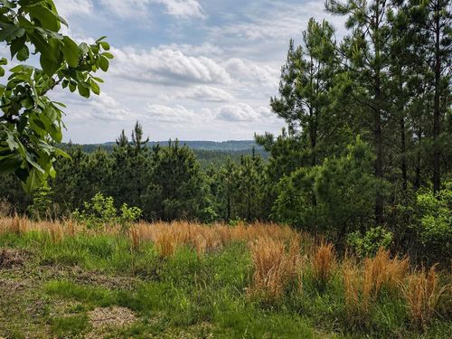 158 Legacy Ridge Trail, Broken Bow, OK, 74728 | Card Image