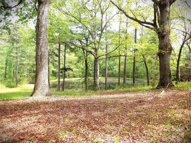 Pond 2 | Image 21