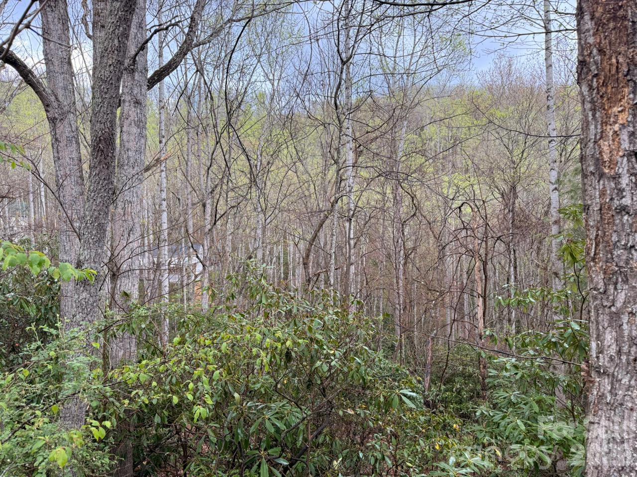Land in Hendersonville 4