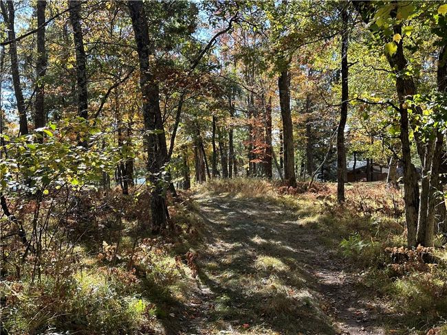 3983 E Robinson Lake Rd, Home with 0 bedrooms, 0 bathrooms and null parking in BARNES WI | Image 16