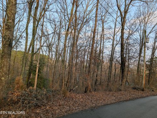 00 Pine Breeze Cir, Rockwood, TN, 37854 | Card Image