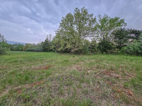 0001 Mission Ridge Rd, Urbana, MO, 65767-8111 | Card Image