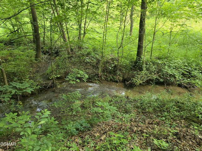 8 Mccarter Hollow Rd, Home with 0 bedrooms, 0 bathrooms and null parking in Sevierville TN | Image 5