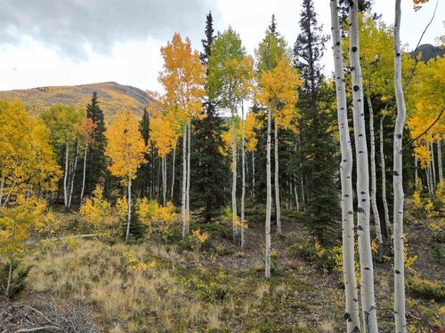 10 Alpine Alpine Vista Way, Lake City, CO, 81235 | Card Image