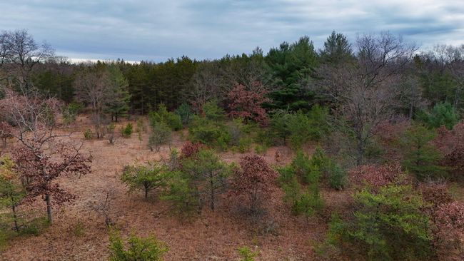 3726 N Custer Rd, Home with 0 bedrooms, 0 bathrooms and null parking in Manistee MI | Image 17
