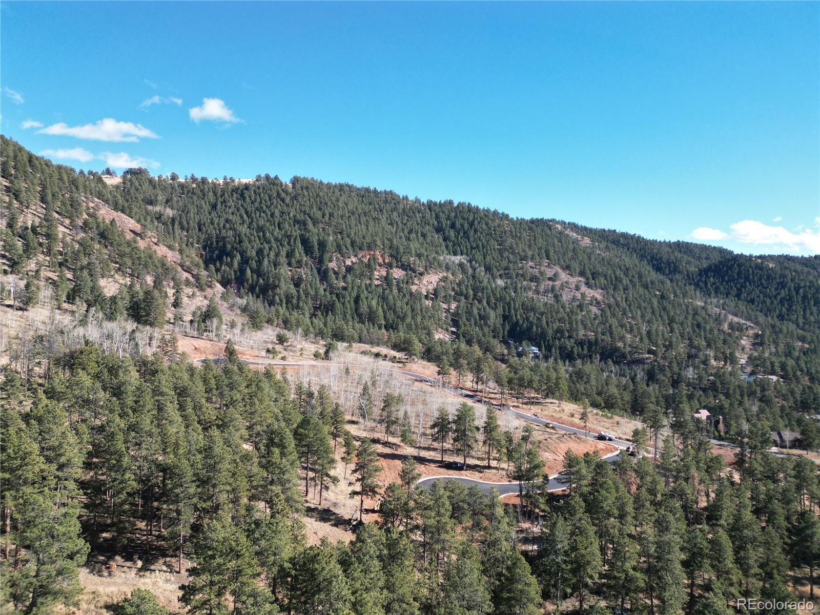 Land in Woodland Park 5