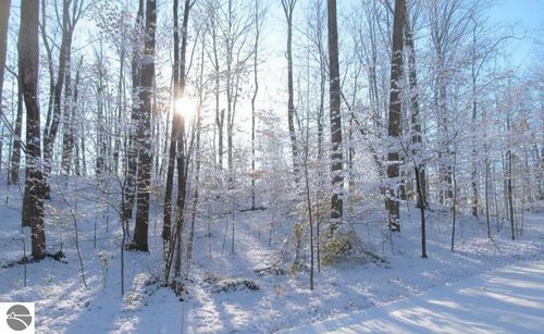 * River Road, Kingsley, MI, 49649 | Card Image