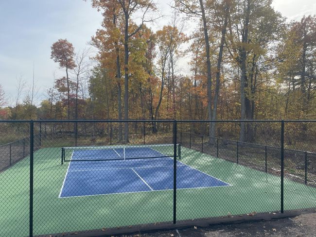 Pickleball court is now complete | Image 6