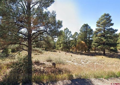 454 Prospect Blvd, Pagosa Springs, CO, 81147-8283 | Card Image