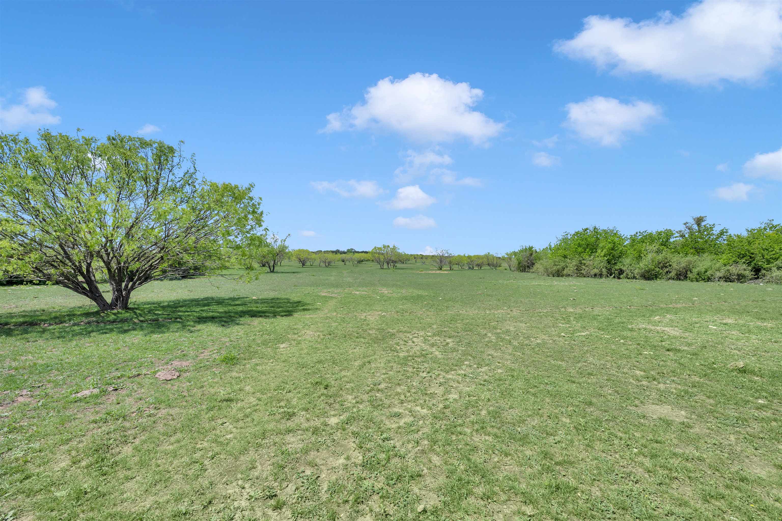 Farm in Burnet 4