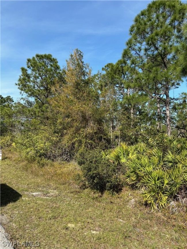 27472 Pasadena Dr, Home with 0 bedrooms, 0 bathrooms and null parking in PUNTA GORDA FL | Image 9