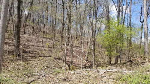 286 Maple Dr, Spring City, TN, 37381 | Card Image