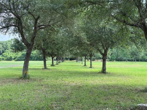 24077 Old Dobbin Plantersvil Rd, Montgomery, TX, 77316-4465 | Card Image