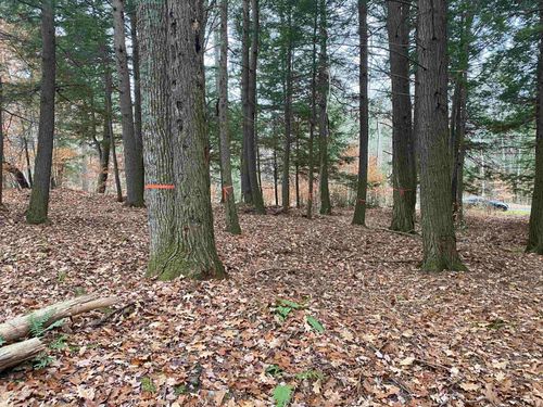 890 Baker Turn, Quechee, VT, 05059-3063 | Card Image