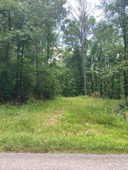 0 Loboe Rd, Equality, AL, 36026 | Card Image