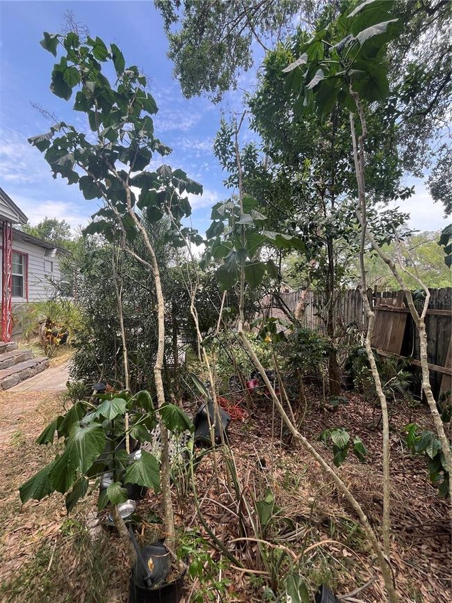7506 Mott Ave, House other with 3 bedrooms, 2 bathrooms and null parking in ORLANDO FL | Image 38