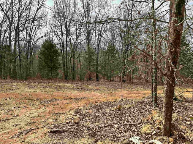 Lot 2 Raby Road, Home with 0 bedrooms, 0 bathrooms and null parking in Harrisburg AR | Image 1