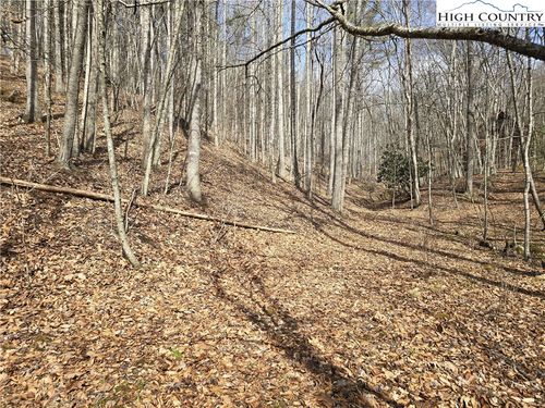 TBD (Lots 42 & 43) Happy Ridge Rd, Grassy Creek, NC, 28631 | Card Image