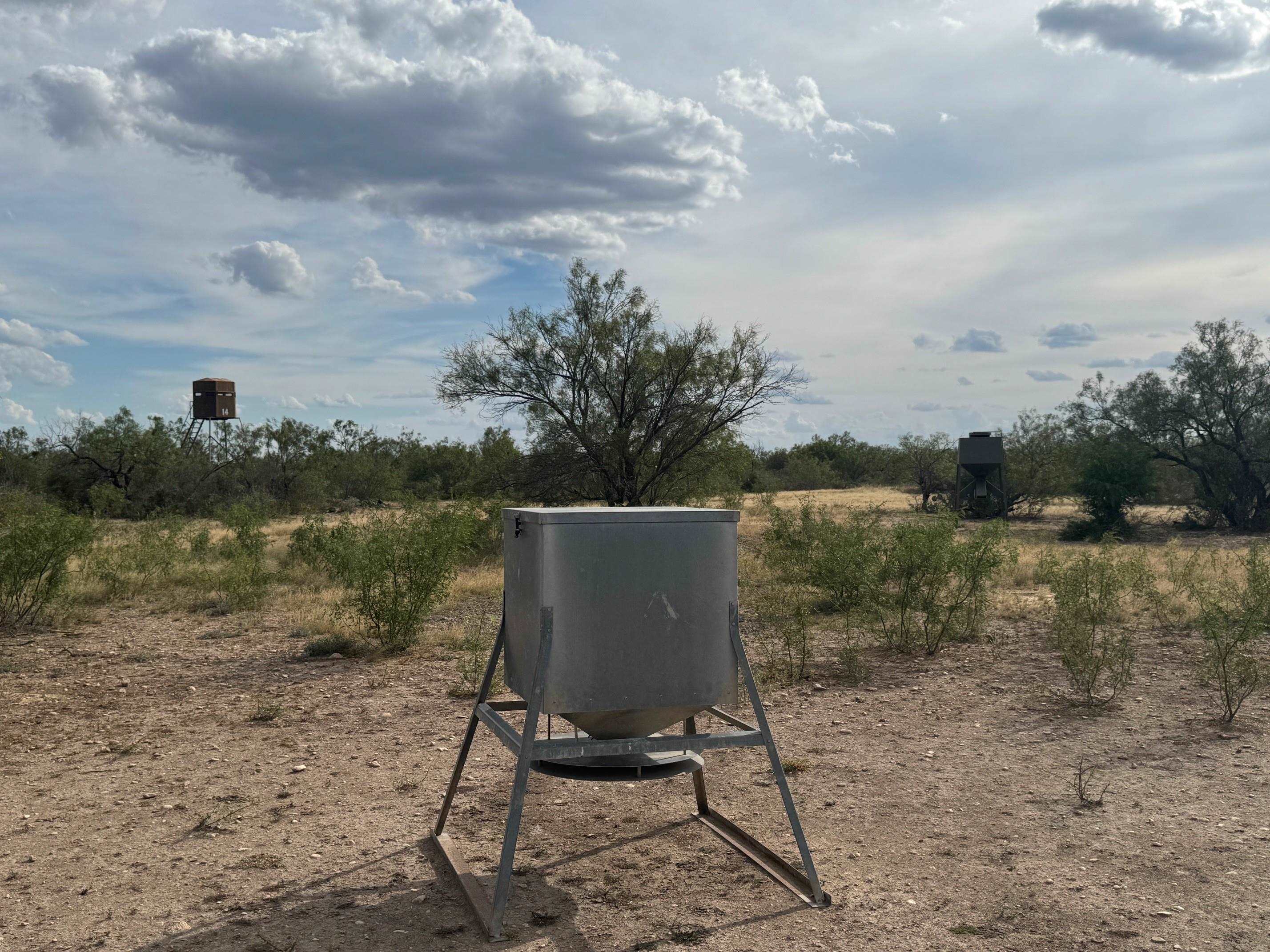 Land in Del Rio 5