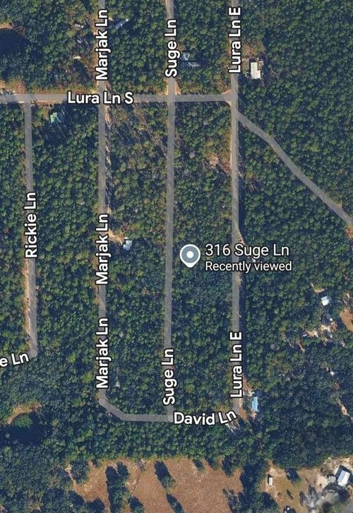 316 Suge Ln, Florahome, FL, 32140 | Card Image