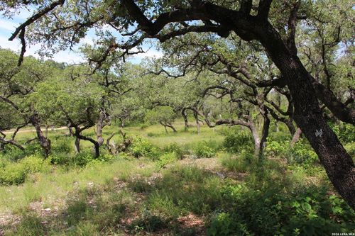 LOT 52 Clear Water Cyn, Helotes, TX, 78023 | Card Image