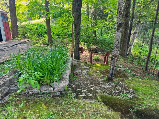 1131 Buckslide Rd, House other with 3 bedrooms, 1 bathrooms and 6 parking in Algonquin Highlands ON | Image 46