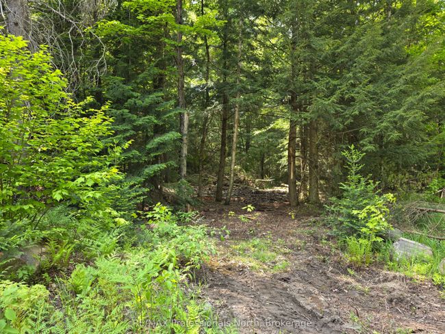 0 25 Th Line Rd, Home with 0 bedrooms, 0 bathrooms and null parking in Algonquin Highlands ON | Image 6