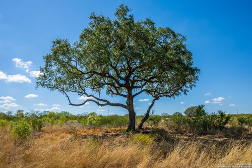 CR 652 Dump Rd, Devine, TX, 78016 | Card Image