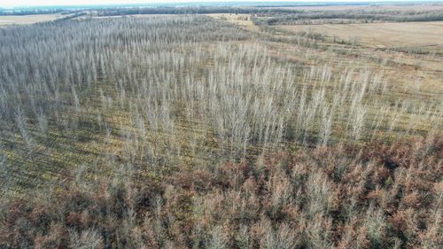 TBD County Road 32, Ashdown, AR, 71822 | Card Image