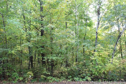 000 St Croix Trl, Taylors Falls, MN, 55084 | Card Image