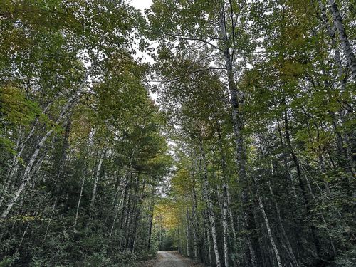 111 Carry Ridge Road, Northfield, ME, 04686 | Card Image