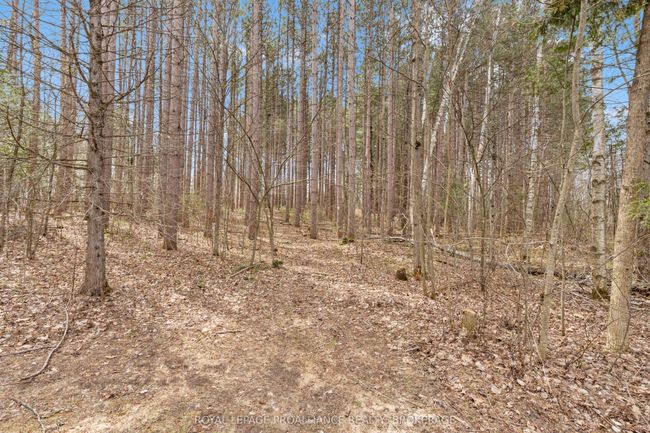 7558 Highway 38, House other with 3 bedrooms, 1 bathrooms and 10 parking in Verona ON | Image 39