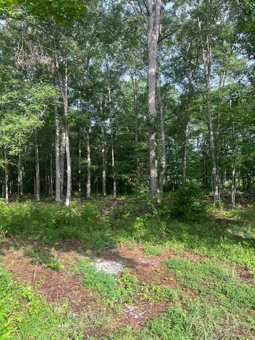 0 Lakewood Park Rd, Beechgrove, TN, 37018 | Card Image