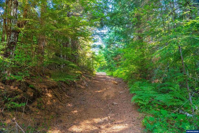 0 Bald Mountain Rd, Home with 0 bedrooms, 0 bathrooms and null parking in Beaver OR | Image 26