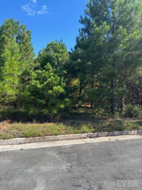 0 Commonwealth Dr, Madison Heights, VA, 24572 | Card Image