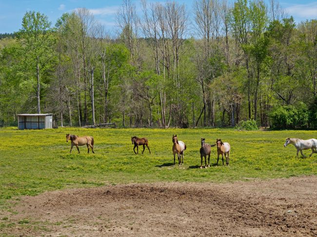 2631 Old Weatherford Creek Rd, Home with 0 bedrooms, 0 bathrooms and null parking in Lutts TN | Image 6