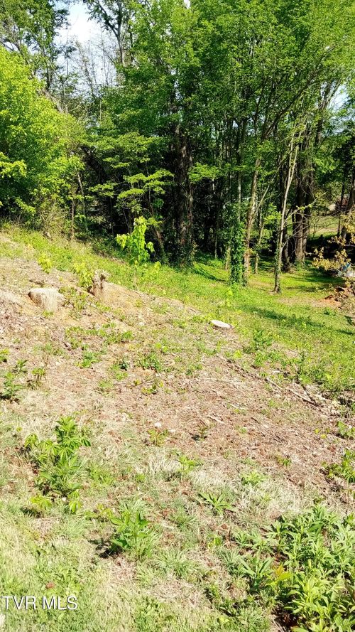 655 Sioux Trail, Greeneville, TN, 37743 | Card Image