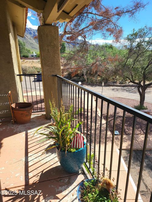 apt-203-8255 N Oracle Road, Tucson, AZ, 85704 | Card Image