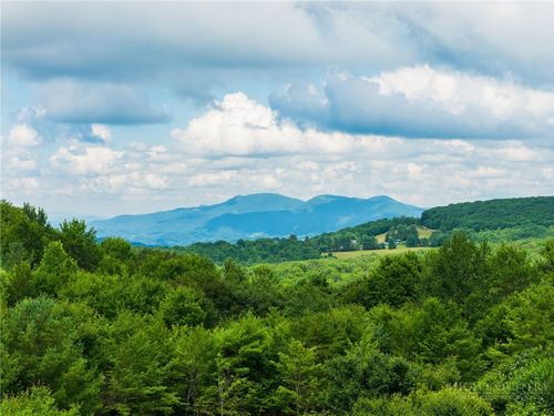 a-102 Spring Branch Rd, Beech Mountain, NC, 28604-8201 | Card Image
