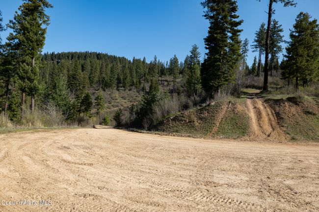 262 North Side Road, Home with 0 bedrooms, 0 bathrooms and null parking in Calder ID | Image 52