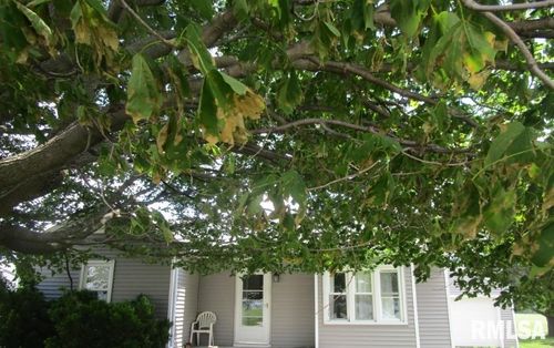 609 N 1st St, Alpha, IL, 61413-9797 | Card Image