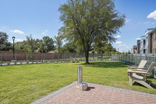 Dog park | Image 5