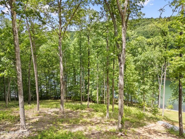 6 Shanghai Landing Ln, Home with 0 bedrooms, 0 bathrooms and null parking in La Follette TN | Image 15