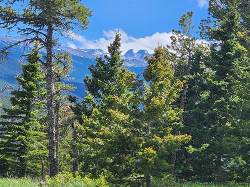 Lot 12 Blacktooth Road, Big Horn, WY, 82833 | Card Image