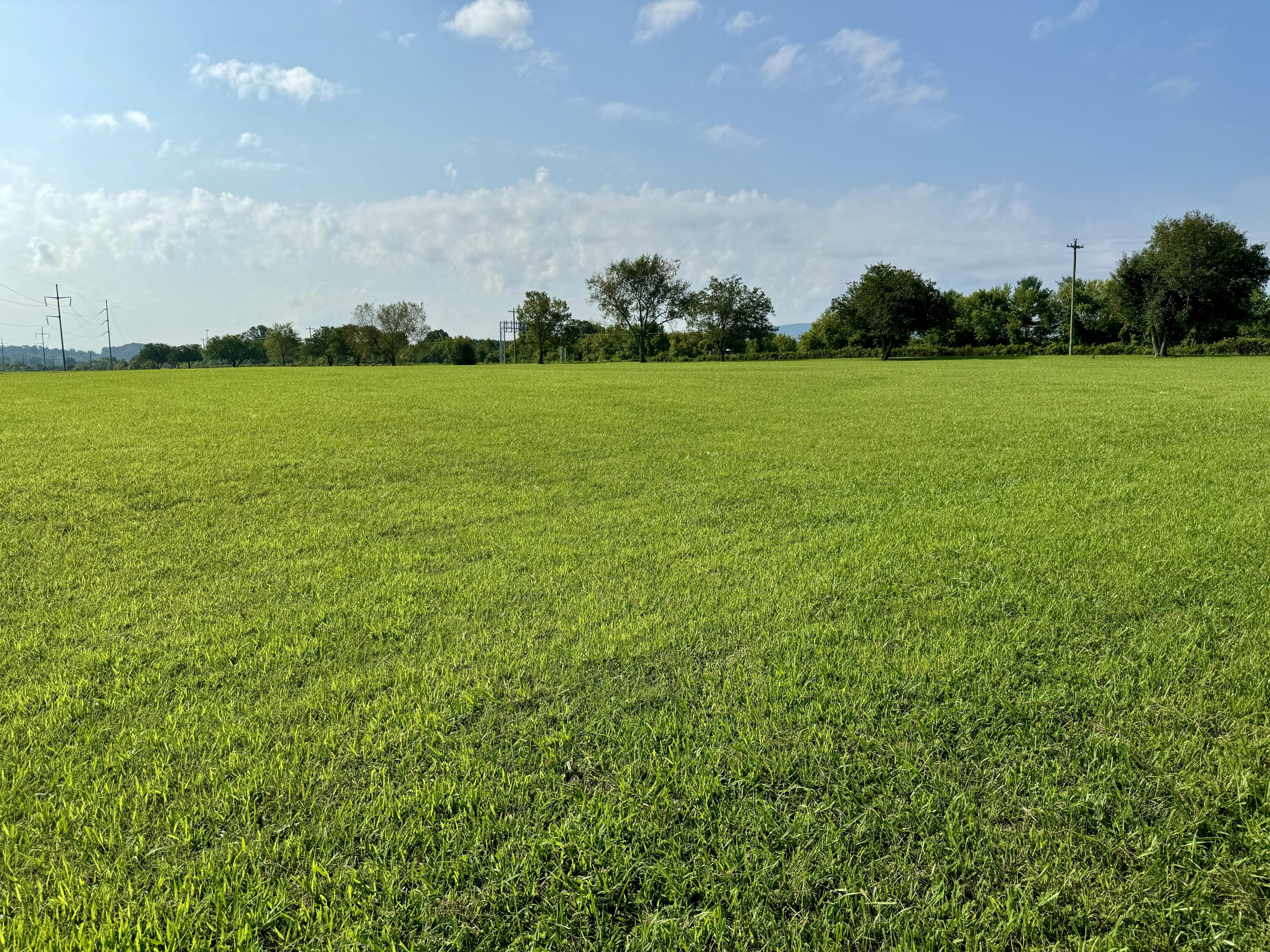 Land in Dandridge 3