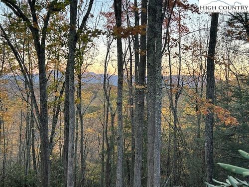 4 Chestnut Mountain Road, Banner Elk, NC, 28604 | Card Image